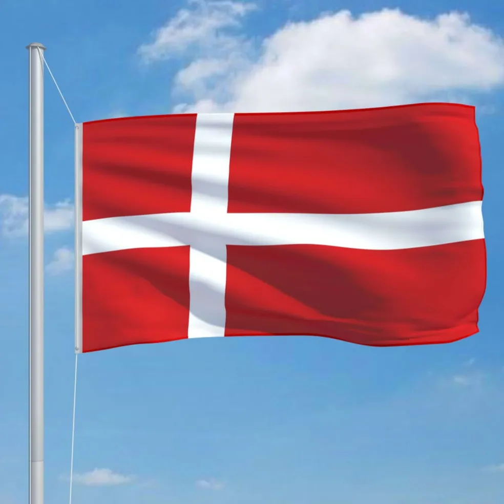 vidaXL Vlag Denemarken 90x150 cm