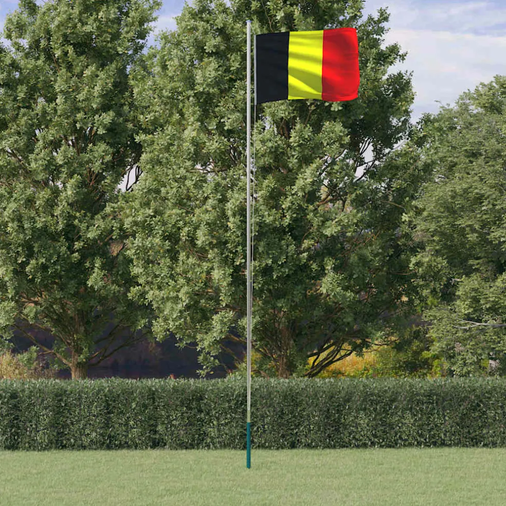 vidaXL Vlag met vlaggenmast België 6,08 m aluminium
