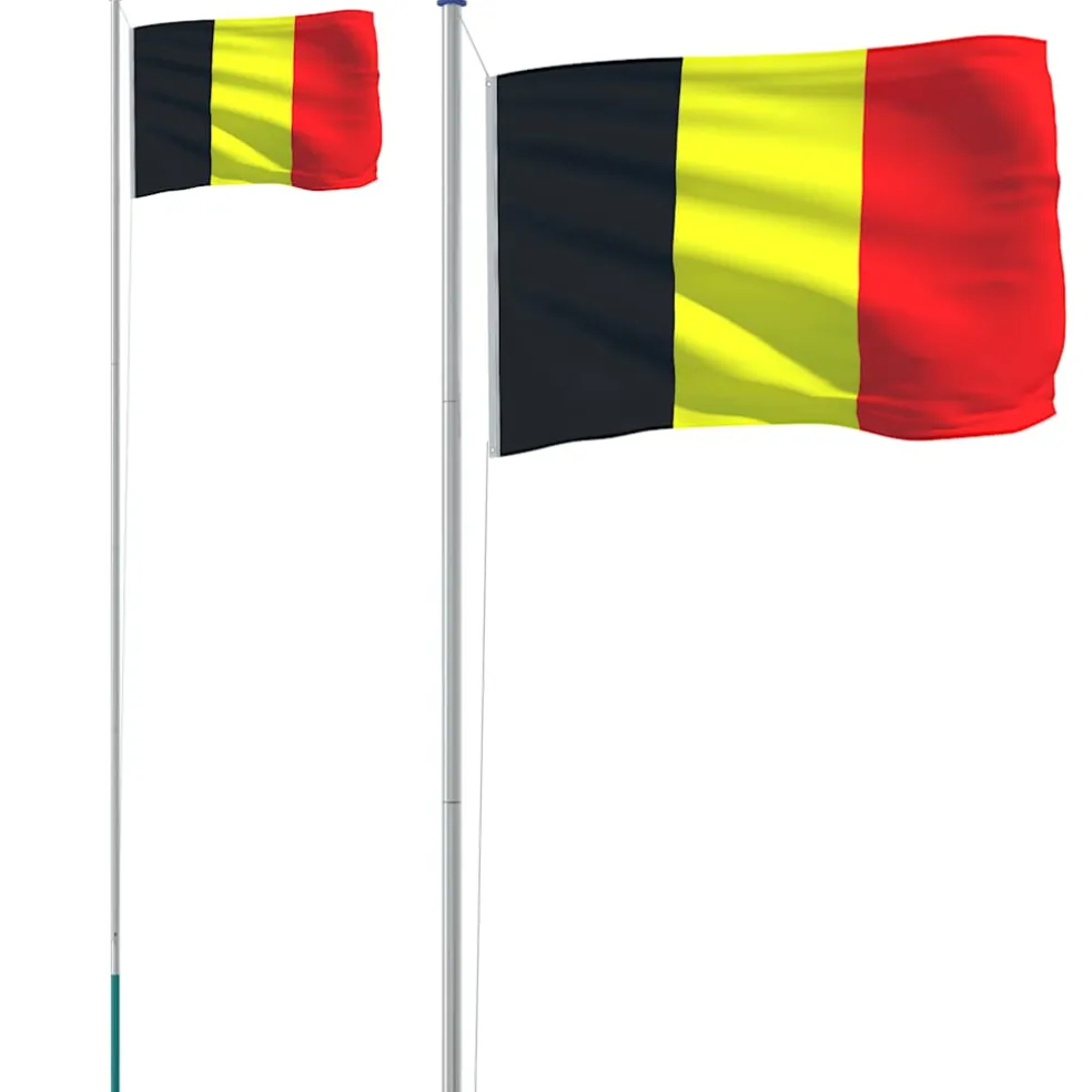 vidaXL Vlag met vlaggenmast België 6,08 m aluminium