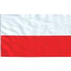 vidaXL Vlag met vlaggenmast Polen 5,5 m aluminium