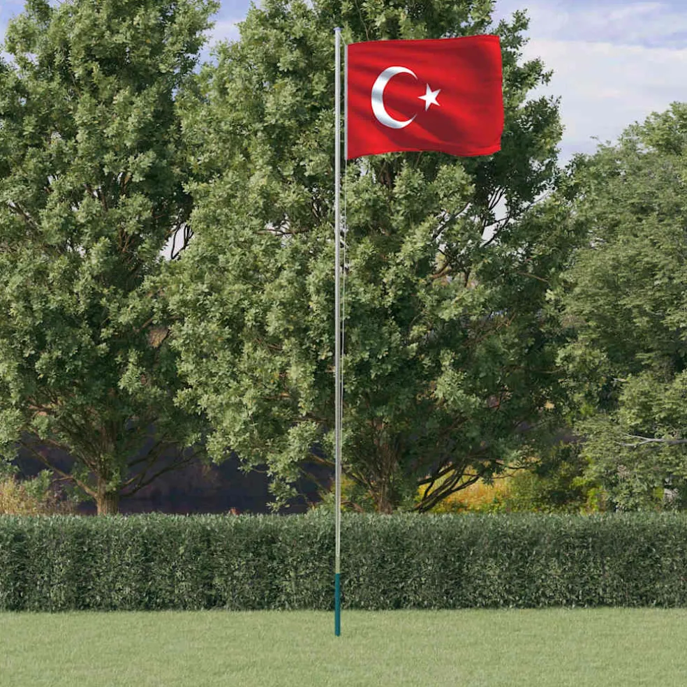 vidaXL Vlag met vlaggenmast Turkije 6,08 m aluminium