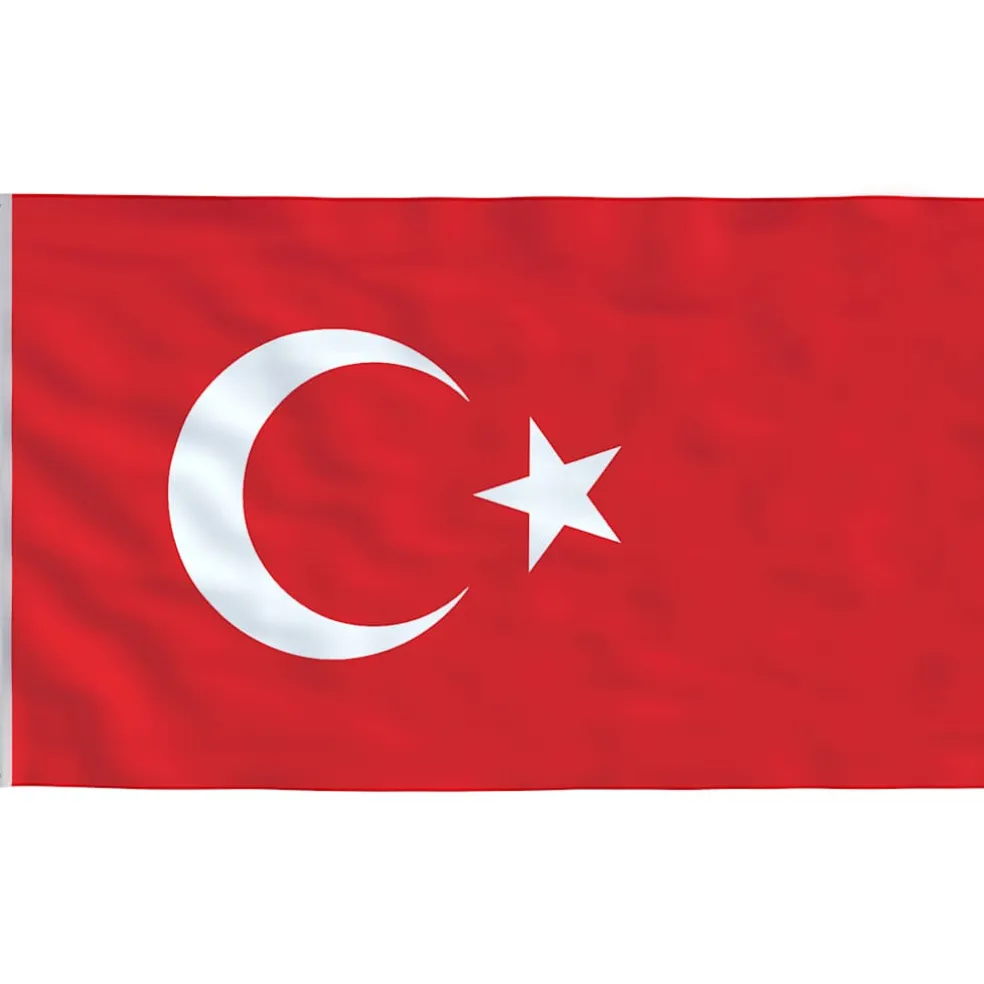 vidaXL Vlag met vlaggenmast Turkije 6,08 m aluminium