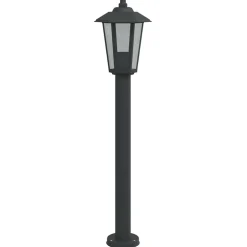 vidaXL Vloerlamp voor buiten 80 cm roestvrijstaal zwart