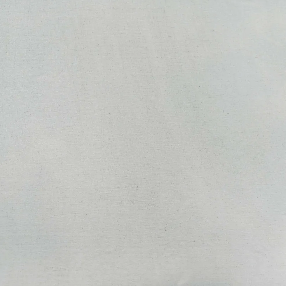 vidaXL Voederbak voor vee zilver 79 x 35 x 62 cm 15 kg