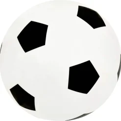 vidaXL Voetbaldoelenset met doelmuur 120x51x77,5 cm