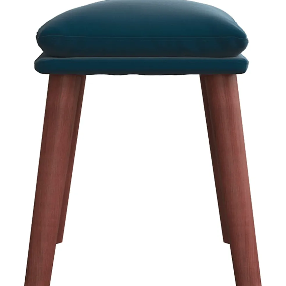 vidaXL Voetenbank 60x50x41 cm fluweel blauw