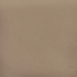 vidaXL Voetenbank 60x50x41 cm kunstleer cappuccino