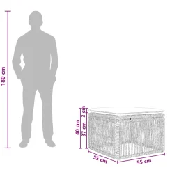 vidaXL voetensteun Zwart poly rattan