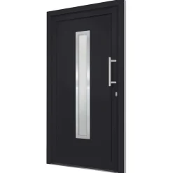 vidaXL Voordeur 98x200 cm antraciet