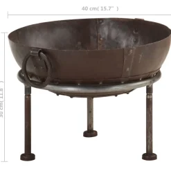 vidaXL Vuurplaats Ø40 cm ijzer