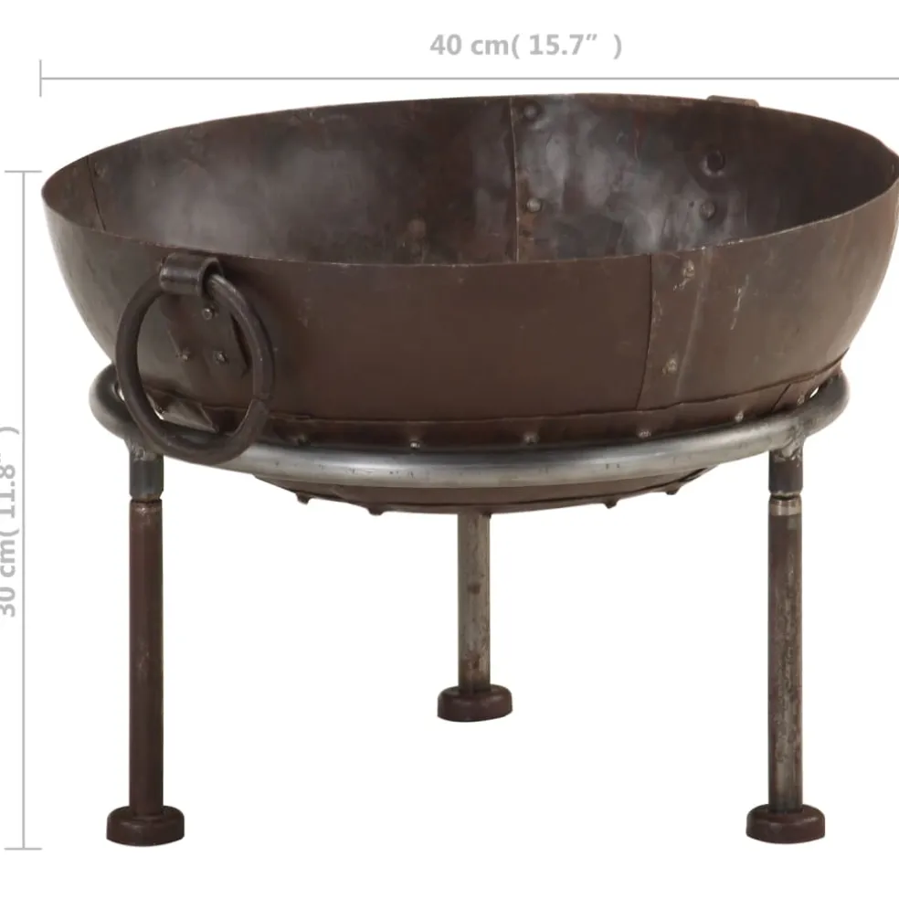 vidaXL Vuurplaats Ø40 cm ijzer