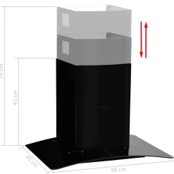 vidaXL Wandafzuigkap 756 m³/u 60 cm roestvrij staal zwart