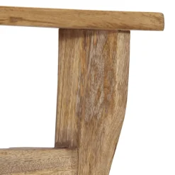 vidaXL Wandkapstok met 4 haken massief mangohout