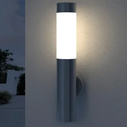 vidaXL Wandlamp voor binnen en buiten waterdicht RVS