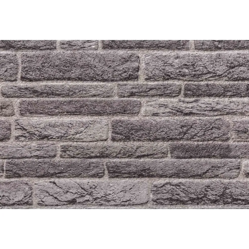 vidaXL Wandpanelen 10 st 100 x 50 cm Antraciet EPS-schuim