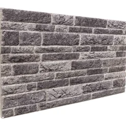 vidaXL Wandpanelen 10 st 100 x 50 cm Antraciet EPS-schuim