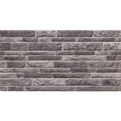 vidaXL Wandpanelen 10 st 100 x 50 cm Antraciet EPS-schuim