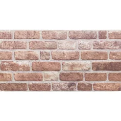 vidaXL Wandpanelen 10 st 100 x 50 cm Bruin EPS-schuim