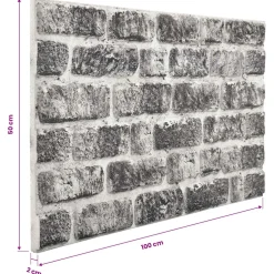 vidaXL Wandpanelen 10 st 100 x 50 cm Donkergrijs en Wit EPS-schuim