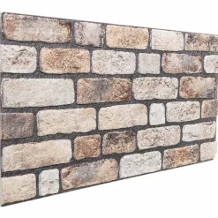vidaXL Wandpanelen 10 st 100 x 50 cm Licht Bruin EPS-schuim
