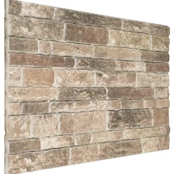 vidaXL Wandpanelen 10 st 100 x 50 cm Meerkleurig EPS-schuim