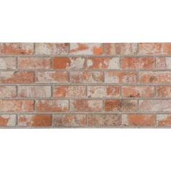 vidaXL Wandpanelen 10 st 100 x 50 cm Oranje EPS-schuim