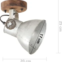 vidaXL Wand-/plafondlampen industrieel 2 st E27 20x25 cm zilverkleurig