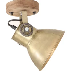 vidaXL Wand-/plafondlampen industrieel 2 st E27 20x25 cm messingkleur