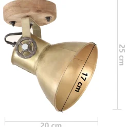 vidaXL Wand-/plafondlampen industrieel 2 st E27 20x25 cm messingkleur
