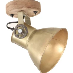 vidaXL Wand- / plafondlampen industrieel 2 st gerecycled E27 17x24 cm