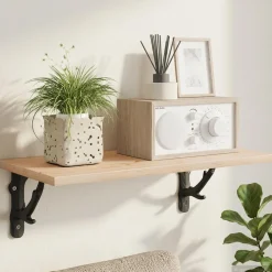 vidaXL Wandplankbeugels 2 st Zwart 10 x 10 x 3 cm Staal