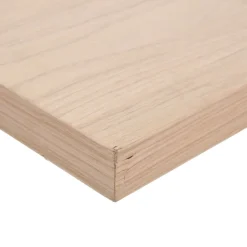 vidaXL Wandschap 23x23,5x4 cm bewerkt hout