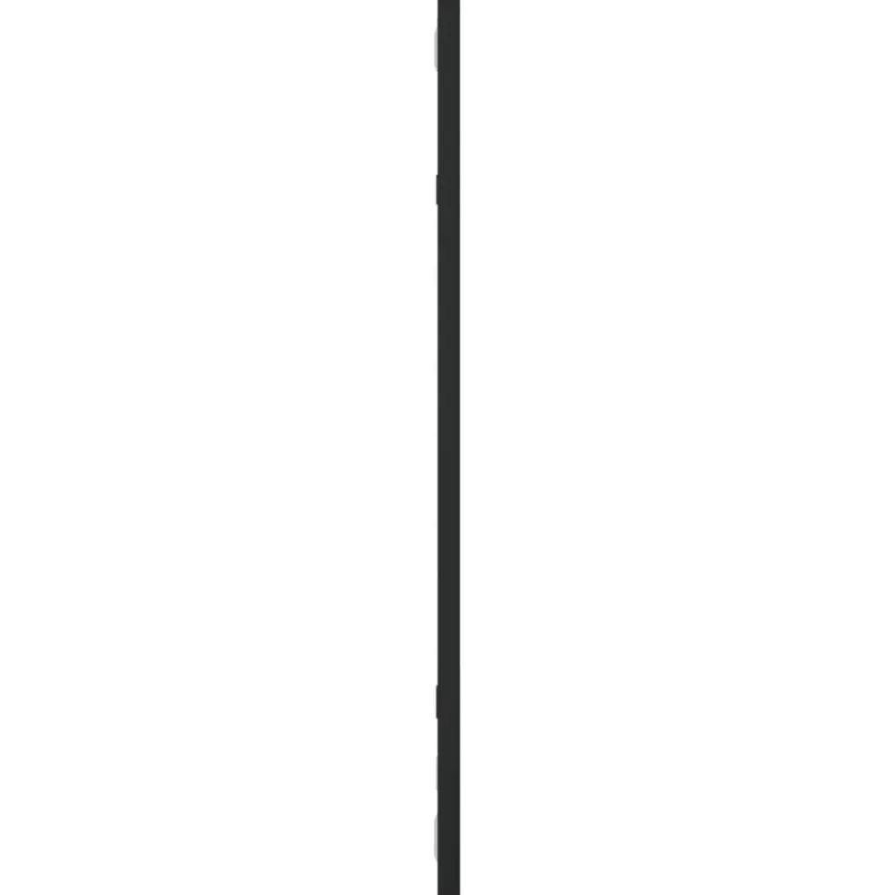vidaXL Wandspiegel rechthoekig 30x60 cm ijzer zwart