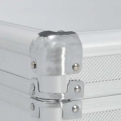 vidaXL Wapenkoffer 118x38x12 aluminium zilverkleurig