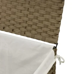 vidaXL Wasmand met deksel 55,5x35x34 cm poly rattan