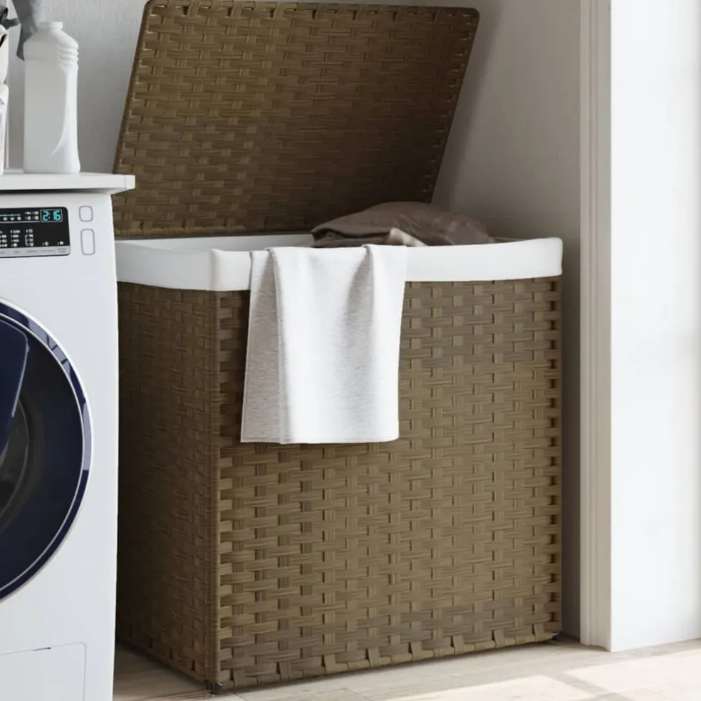 vidaXL Wasmand met 2 vakken 53x35x57 cm poly rattan