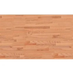 vidaXL Werkbank rechthoekig 100x60x81,5 cm massief beukenhout