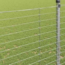 vidaXL Wilde Hek 1000 x 150 x 0,18 cm IJzer Warm Verzinkt