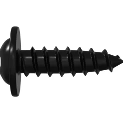 vidaXL Zelftappende Nagel 2 st Zwart 3,5 x 12 mm IJzer
