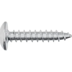 vidaXL Zelftappende Nagel 2 st Verzinkt 4 x 20 mm Staal