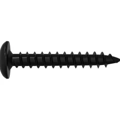 vidaXL Zelftappende Nagel 2 st Zwart 4 x 25 mm Staal