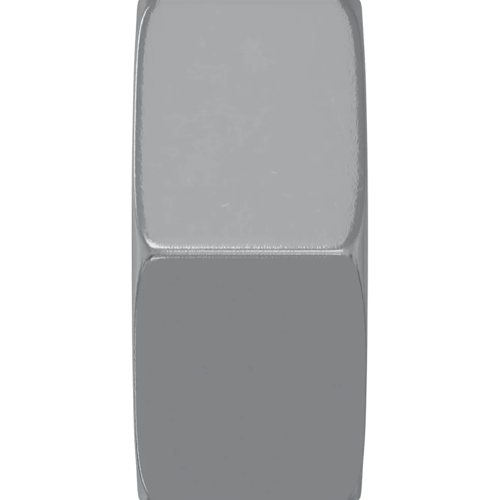 vidaXL Zeshoekige Moer 2 st Zilver M6 Metaal