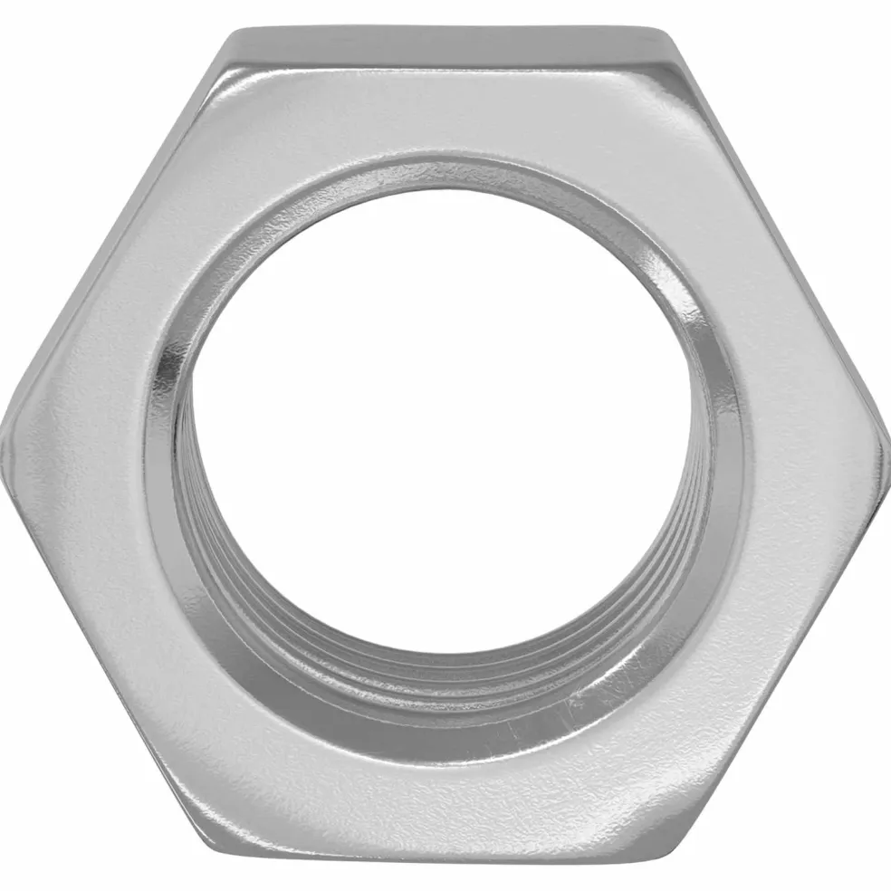 vidaXL Zeshoekige Moer 2 st Zilver M6 Metaal