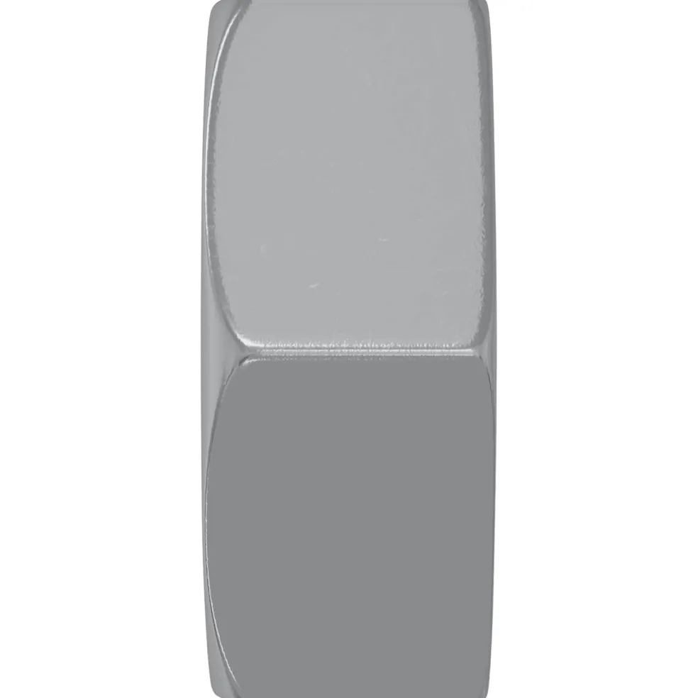 vidaXL Zeshoekige Moer 2 st zilver M6 Metaal