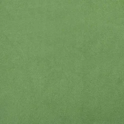 vidaXL Zitkussens 4 st Fluweel Lichtgroen 40 x 40 x 3 cm