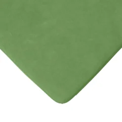 vidaXL Zitkussens 4 st Fluweel Lichtgroen 40 x 40 x 3 cm
