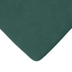 vidaXL Zitkussens 4 st Fluweel Donkergroen 40 x 40 x 3 cm
