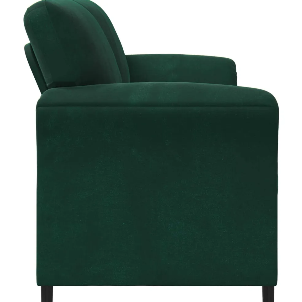 vidaXL 2-Zits Sofa Donkergroen 158 x 83 x 95 cm Fluweel