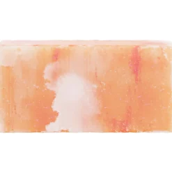 vidaXL Zoutstenen 10 st Roze 20 x 10 x 5 cm Steenzout