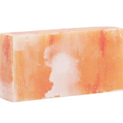 vidaXL Zoutstenen 10 st Roze 20 x 10 x 5 cm Steenzout